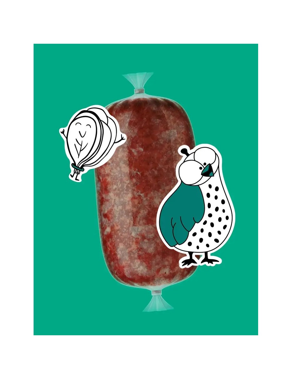 Codorniz CRUDO