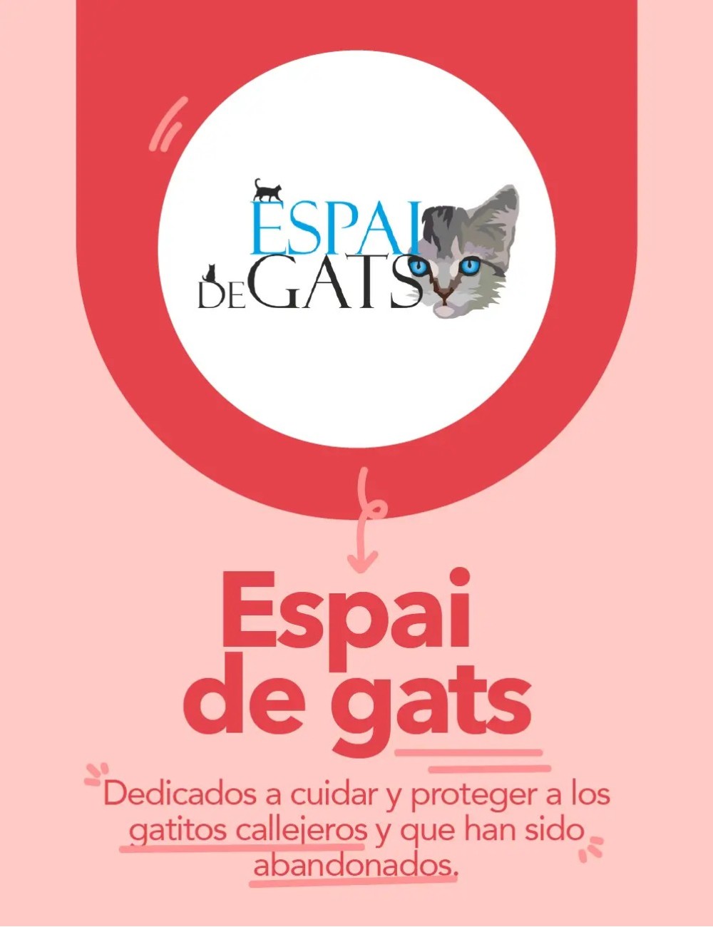 Espai de Gats