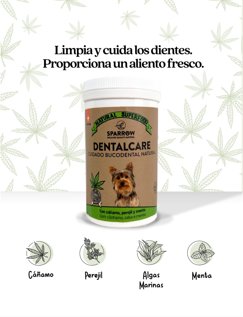 SPARROW MEZCLA DE HIERBA PARA PERROS CUIDADO DENTAL 100GR GUAU AND CAT - 1 SPARROW MEZCLA DE HIERBA PARA PERROS CUIDADO DENTAL 100GR GUAU AND CAT - 1