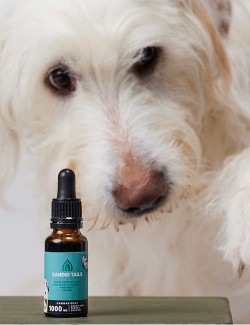 CANDIDTAILS ACEITE DE CAÑAMO CON CBD PARA PERROS GRANDES 1000MG