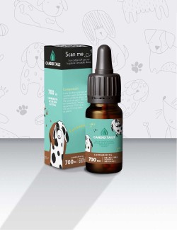 CANDIDTAILS ACEITE DE CAÑAMO CON CBD PARA PERROS MEDIANOS 700MG