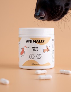 ANIMALLY MOVE PLUS 60UDS