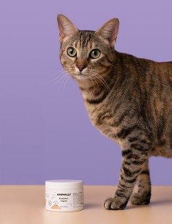 ANIMALLY PROBIOTIC DIGEST 30UDS