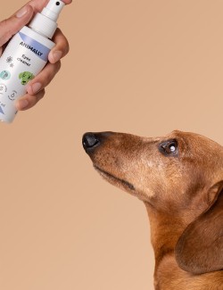 ANIMALLY EYES CLEAR 125ML