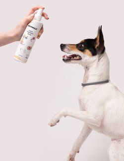 ANIMALLY INSECT REPELLENT SPRAY 250ML