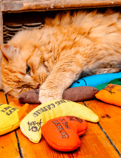 KING CATNIP JUGUETE SERPIENTE GATOS