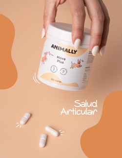 ANIMALLY MOVE PLUS 60UDS