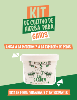 KING CATNIP KIT CULTIVO HIERBA GATOS