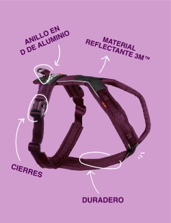 NON-STOP DOGWEAR LINE HARNESS 5.0 MORADO