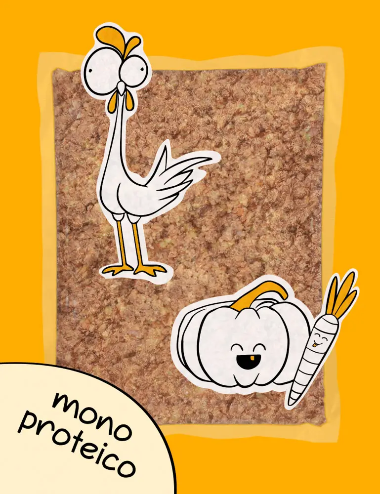 Pollo