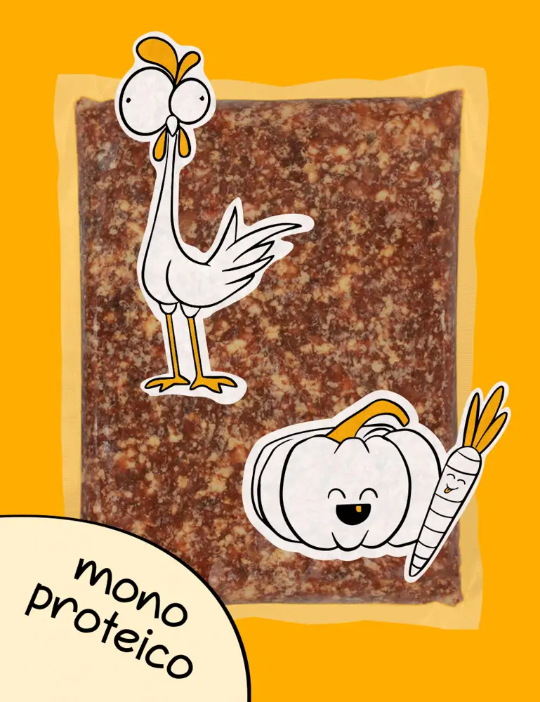 Pollo