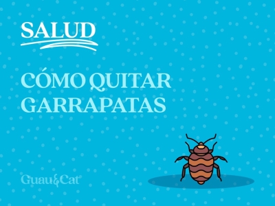 Cómo quitar garrapatas en perros