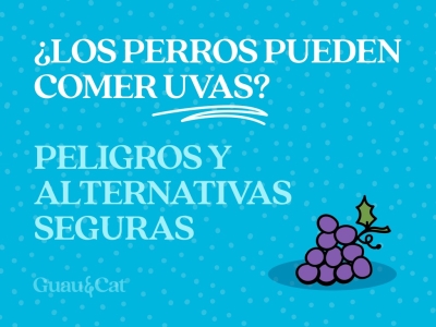 ¿Los perros pueden comer uvas?