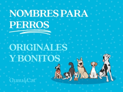 Nombres para perros