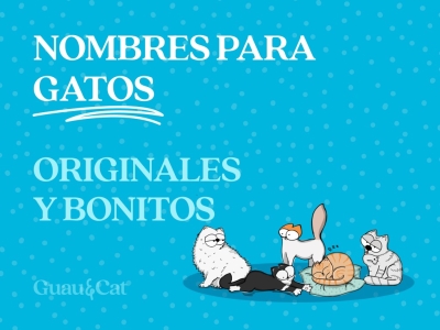 Nombres para gatos
