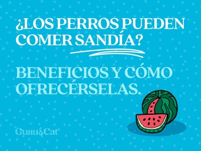 ¿Los perros pueden comer sandía?