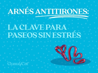 Arnés antitirones