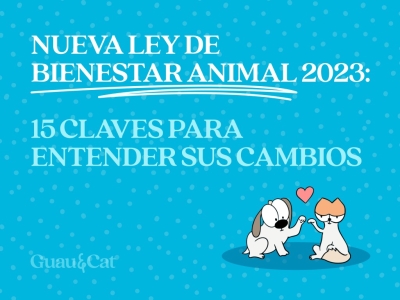 Nueva Ley de Bienestar Animal 2023: 15 Claves para Entender sus Cambios