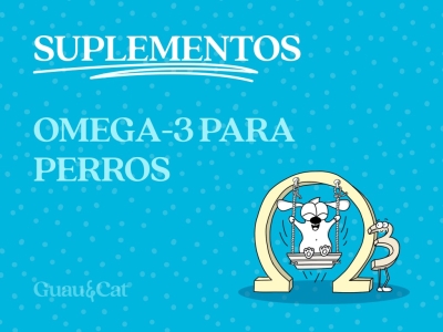 Omega-3 para perros