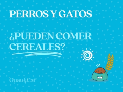 ¿Los perros o gatos pueden comer cereales?