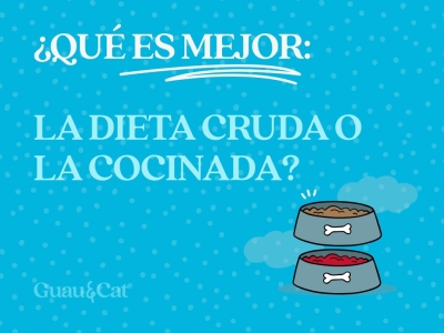 ¿Es mejor la dieta cruda/BARF o cocinada?