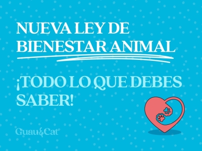 Nueva Ley de Bienestar Animal