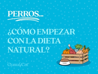 Cómo empezar con la dieta natural para  perros
