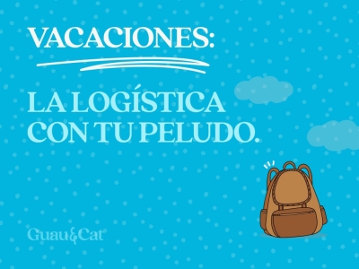 Planificar las vacaciones con mi perro