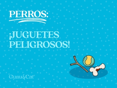Juguetes peligrosos para perros