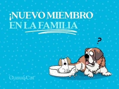 Nuevo miembro en la familia: introducción de un perro o gato en casa