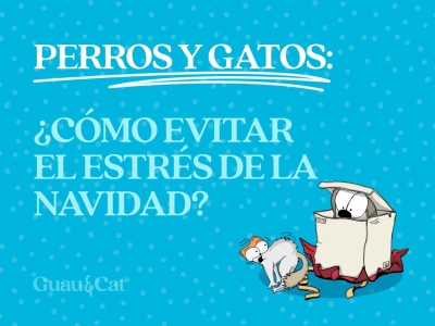 ¿Cómo evitar el estrés de la Navidad a tu perro y gato?