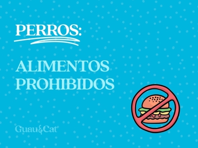 Alimentos prohibidos para perros