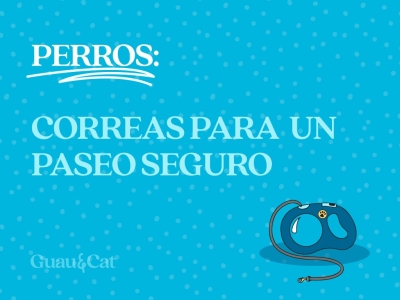 Correas para perros: hacer del paseo una actividad segura