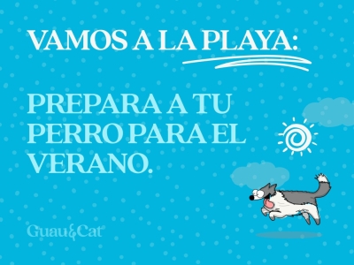 Consejos para ir con tu perro a la playa
