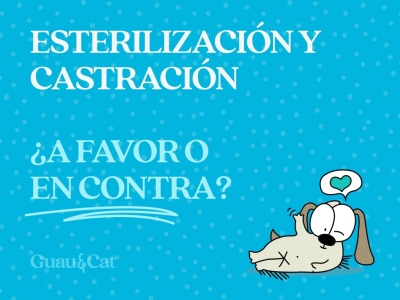 Esterilización y castración ¿A favor o en contra?