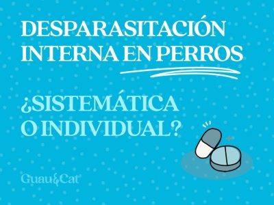 Desparasitación interna en perros: ¿Sistemática o Individualizada?