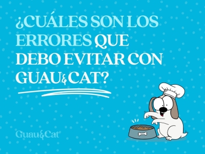 ¿Qué errores debo evitar con Guau&Cat?