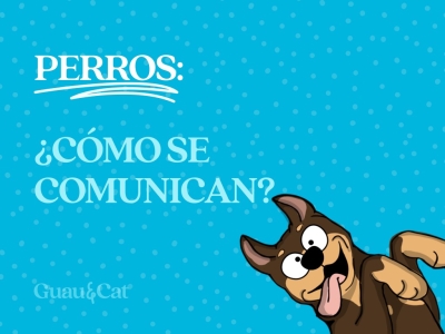 ¿Cómo se comunica mi perro? 