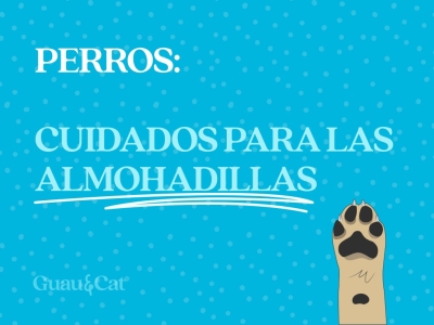 Cuidados para las almohadillas del perro 