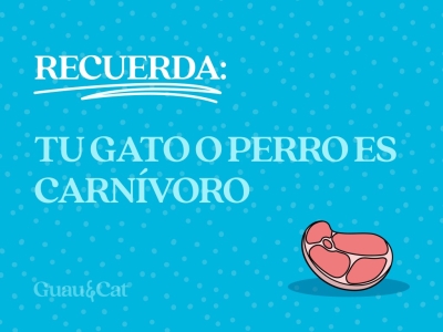 Recuerda: Tu perro o gato es carnívoro 