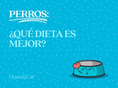 ¿Qué dieta es la mejor para mi perro? 