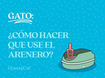 ¿Cómo hacer que mi gato use el arenero? 