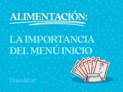¿Por qué es tan importante el Menú Inicio? 