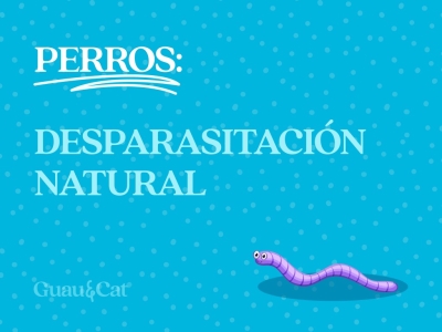 Desparasitación natural: 6 formas naturales de tratar y prevenir las lombrices