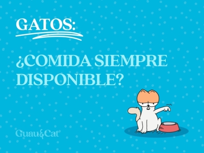 Gatos ¿Comida siempre disponible? 