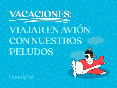 Viajar en avión con nuestros peludos