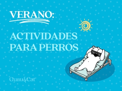 Actividades de verano para perros